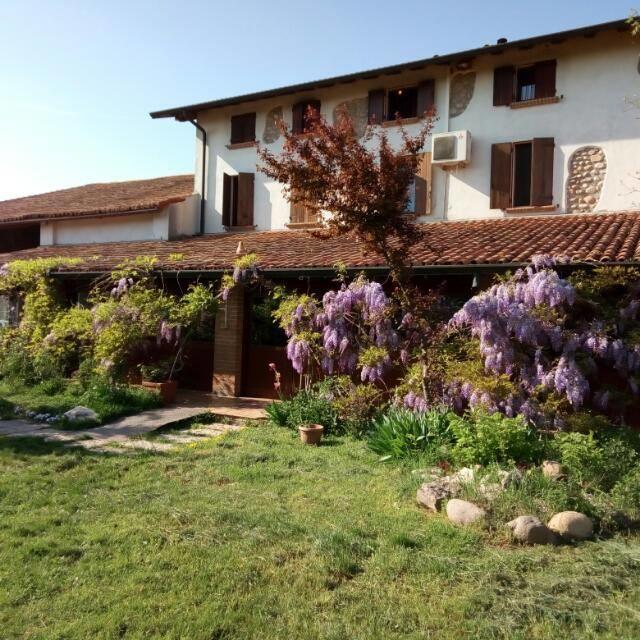 Agriturismo La Pace Villa Валеджо сул Минчио Екстериор снимка