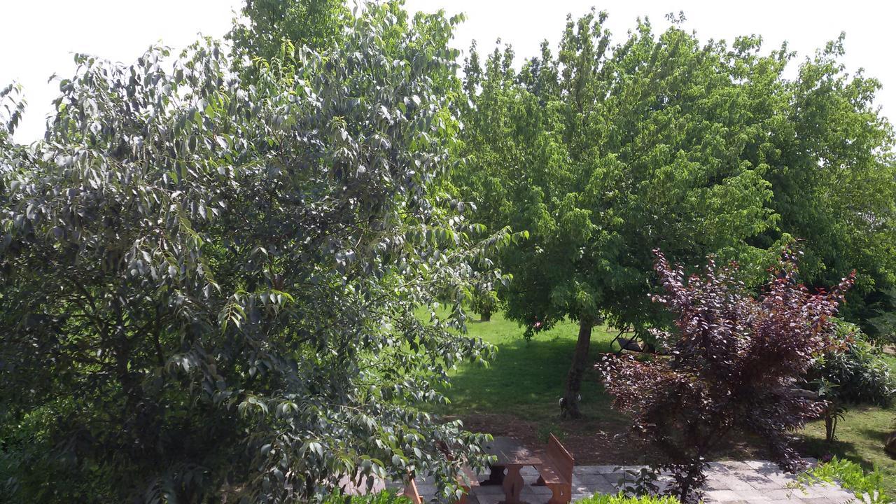 Agriturismo La Pace Villa Валеджо сул Минчио Екстериор снимка